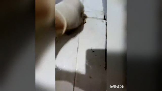 Стройка Сборник