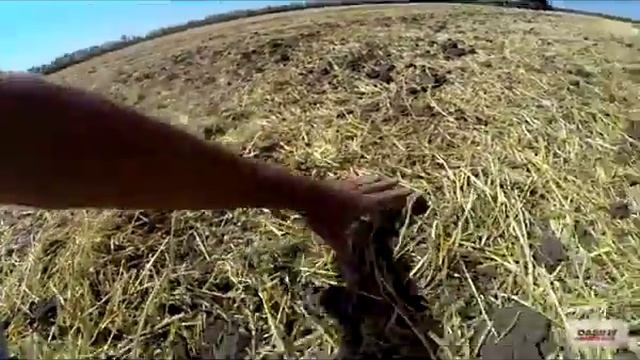 Дисковая борона CASE IH True Tandem 330 Turbo смотреть онлайн