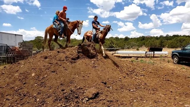 Horses Are They Ready? | Navajo Reservation Horses Going North To Idaho! | Rush's Blue Roan!