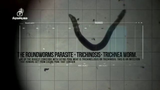 Вот поэтому мусульмане не кушают свинину смотреть онлайн