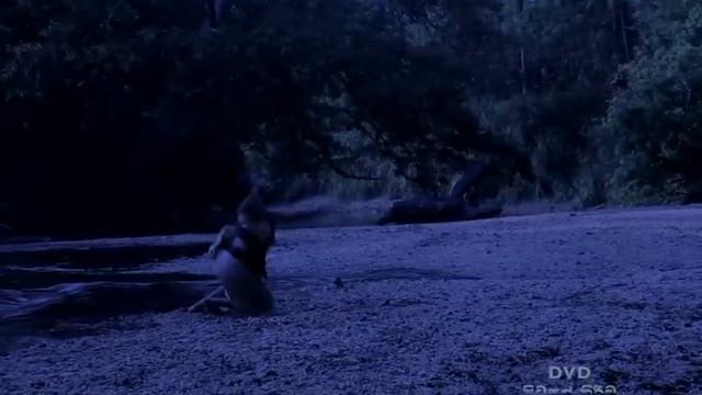 Uththama Hadawatha Kavi Bana Full video - උත්තම හදවත | Massanne Vijitha Thero смотреть онлайн