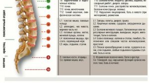 12 программ CERAGEM Master V3