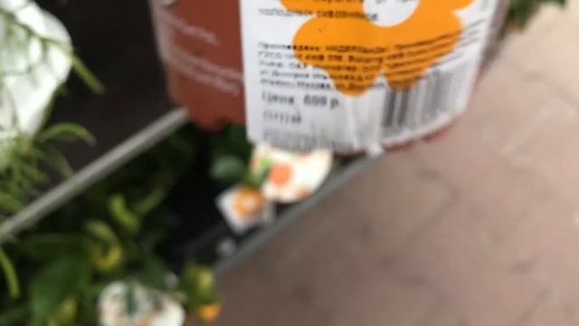 Цветочки к 8 Марта в Оби так Красивы! смотреть онлайн