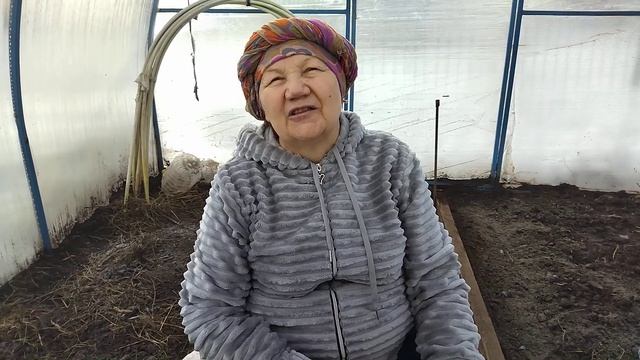 Что растет в теплице смотреть онлайн