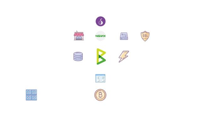 BTCPay Server - How it Works? смотреть онлайн