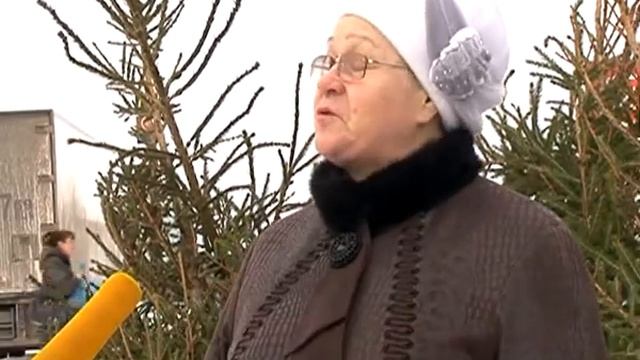 Новогодняя красавица. 2014-12-22 смотреть онлайн