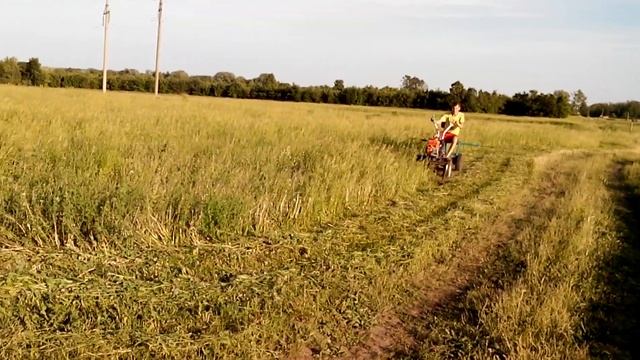 Сенокос на мотоблоке с адаптером смотреть онлайн