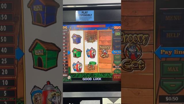 Groovy Cat 2 Georgia Casino Games смотреть онлайн