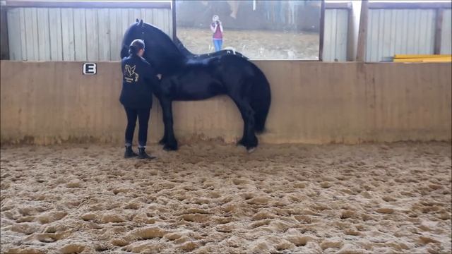 Ideal Piaffe! The Lesson From Andrea.