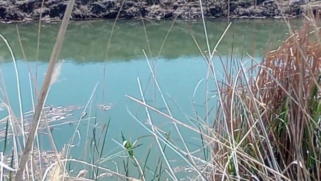 Рыбалка н1#10