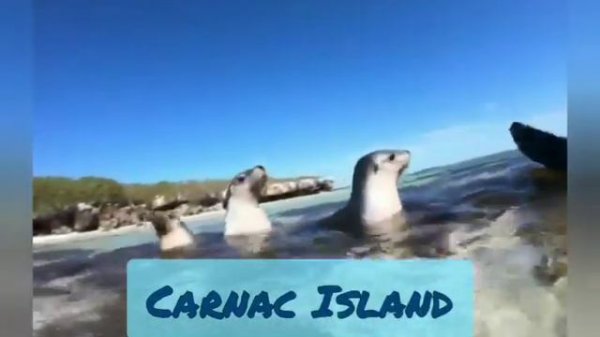 Carnac Island