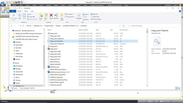 PipeLink Overview in AutoPIPE смотреть онлайн