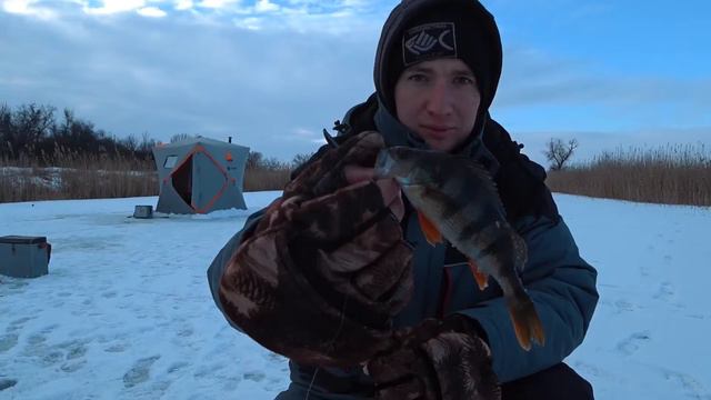 Зимняя Рыбалка в Глухозимье Окунь на гвоздишарик. смотреть онлайн