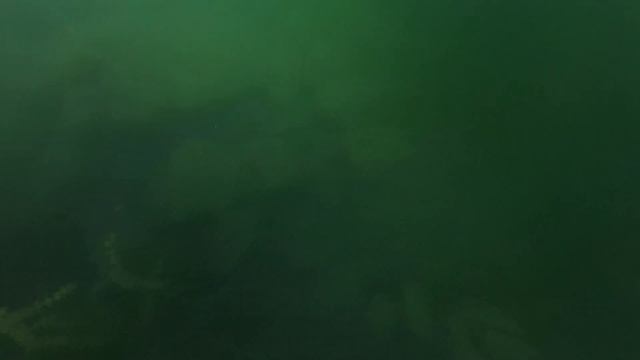 Прозрачный глубокий карьер, подводная съемка. Прозрачность более 10 метров смотреть онлайн