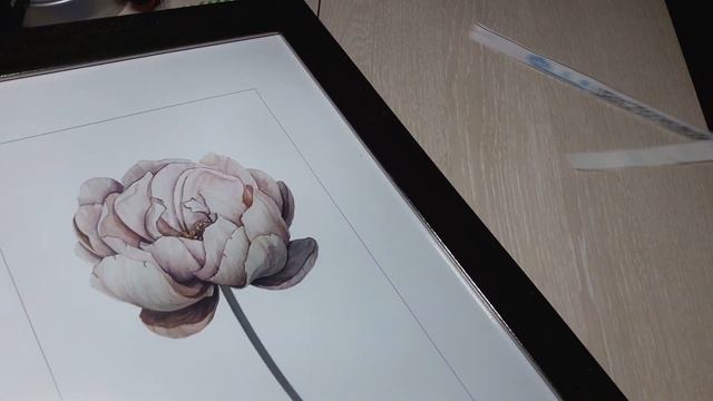 Потрясающая картина " МАКИ "!!!Алмазная мозаика с Али))) смотреть онлайн