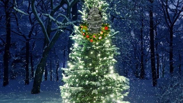 ПРИГЛАШЕНИЕ НА МАРАФОН С 12 ПО 16 ДЕКАБРЯ 2016 Скачать в HD смотреть онлайн