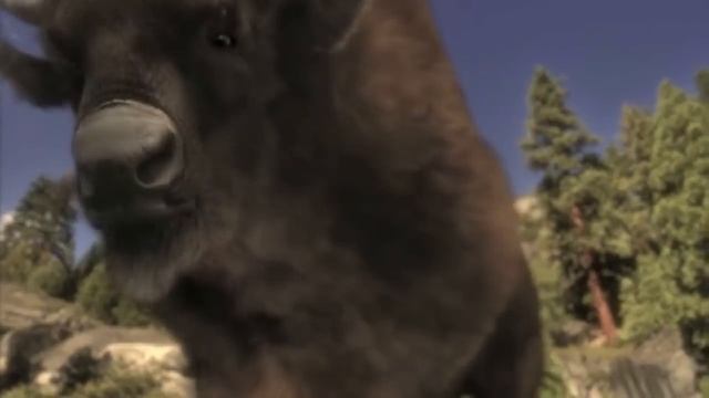 Smilodon - The Saber-Toothed Predator смотреть онлайн