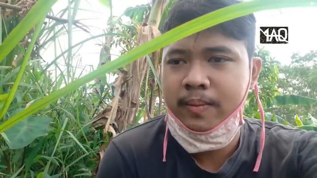 Kenapa Huruf P ? Inilah Jawaban Kenapa Setiap Memulai Chat Kita Menggunakan Huruf P! INI ARTINYA! смотреть онлайн