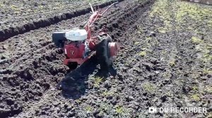 Мотоблок МТЗ, Беларус. Пахота на автомате, автопилоте. Глубина 22 см.!