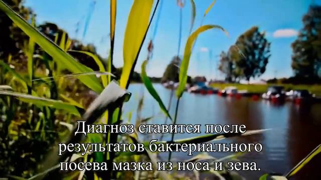Детская ангина — что делать — Статья смотреть онлайн