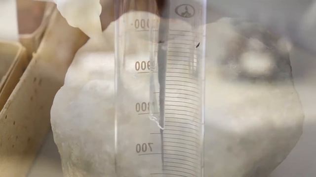 Факультет почвоведения, агрохимии, экологии и товароведения смотреть онлайн