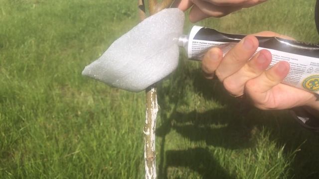 Тля, муравьи и улитки на деревьях больше не живут. Липкий клей смотреть онлайн