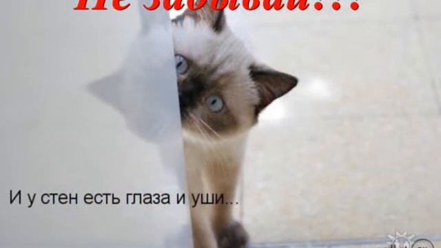 С днём дошкольного работника! смотреть онлайн