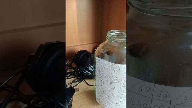 коплю 24.850рублей на скутер #я коплю смотреть онлайн