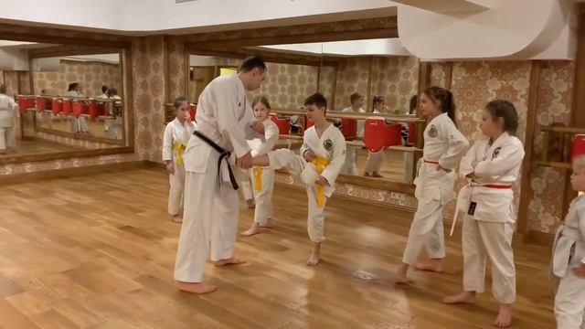 Front Kick Defense for Beginners. Защита от прямого удара ногой для начинающих смотреть онлайн