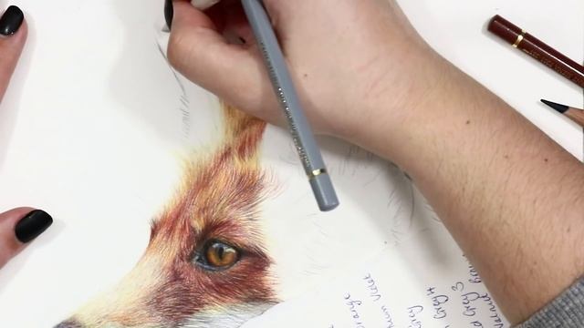 HOW TO DRAW a FOX with Colored Pencils смотреть онлайн