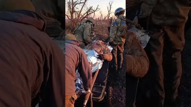 Запекать будут. Люля кибаб почти готов смотреть онлайн