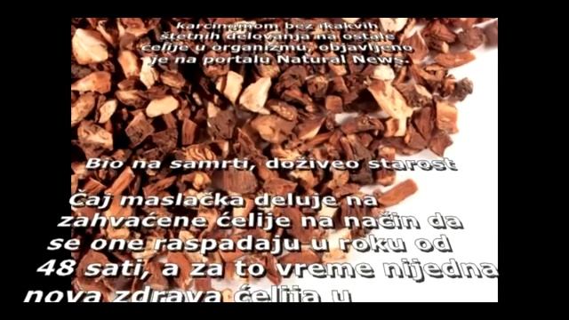 Koren MASLAČKA LEČI RAK! смотреть онлайн