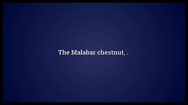 Money tree Meaning смотреть онлайн