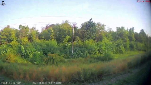 Железная дорога Турдей - Волово - Узловая I (вид из окна поезда, западная сторона) (МЖД) смотреть онлайн
