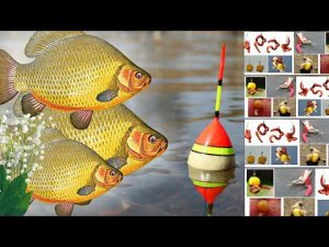 Когда начинает клевать карась весной по открытой воде?  Как и на что ловить карася в марте апреле?