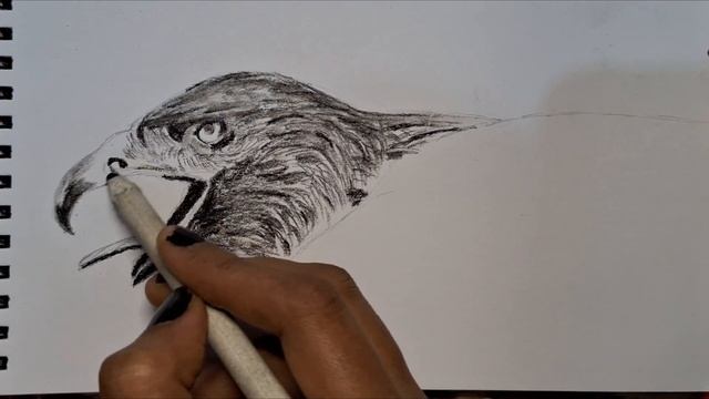 how to draw eagle with charcoal pencil #viral #eagledrawing #charcoaldrawing #pencilsketch смотреть онлайн
