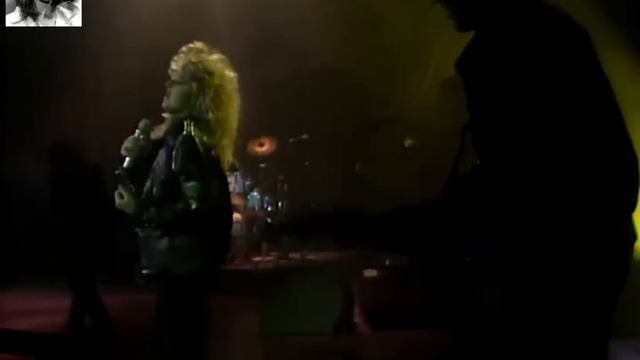 Bonnie Tyler - The Best (1988) смотреть онлайн