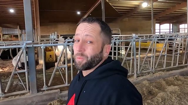 WHAT ARE WE DOING with Cow 9002 .. смотреть онлайн