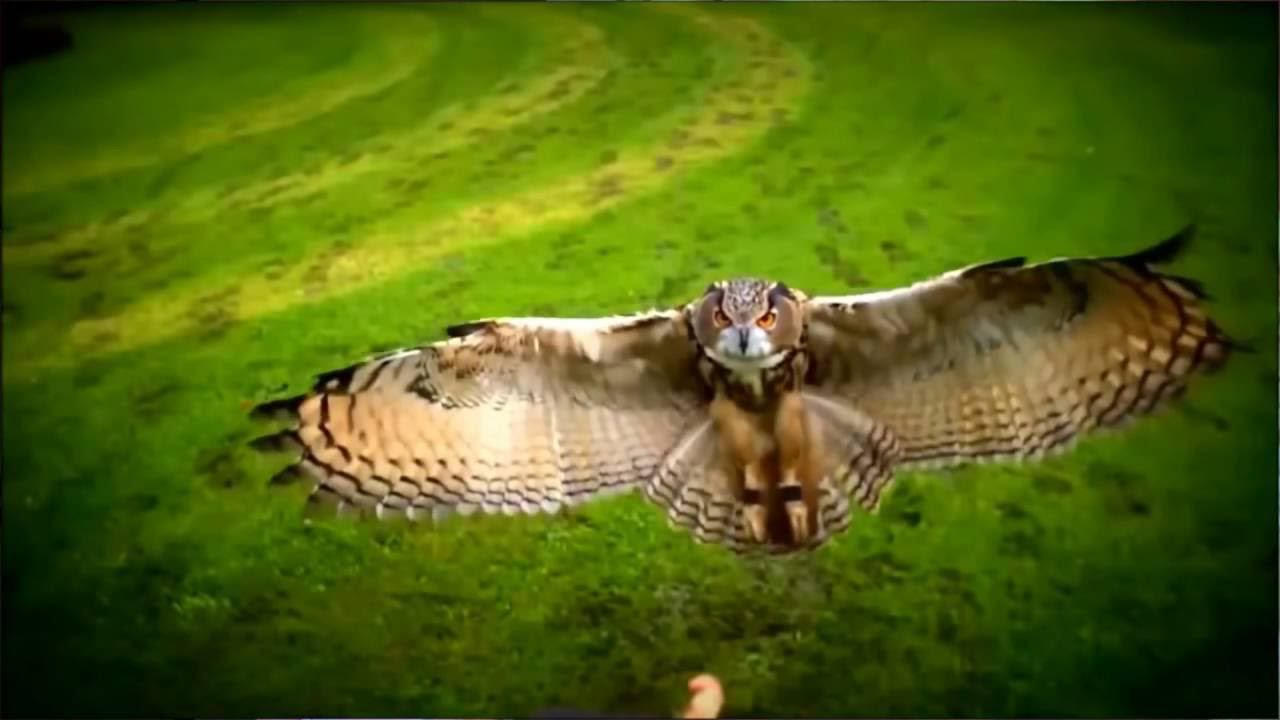 Карпекина Мария - Перечитай смотреть онлайн