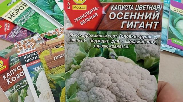 Немного о капусте.Разбираю семена капусты,нужно определяться на 2024г. смотреть онлайн