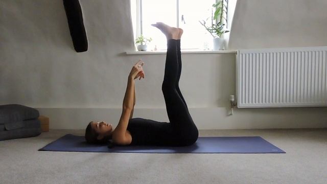 Dead Bugs (core work) смотреть онлайн