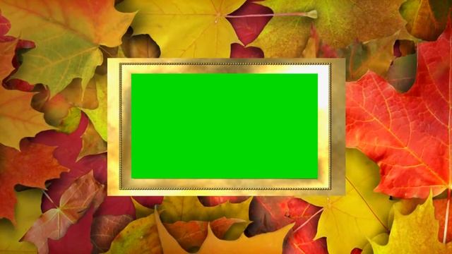 Футаж Рамка золотая осенние листья хромакей смотреть онлайн