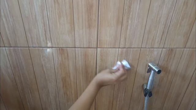 WALL MOUNTEDSTAINLESS STEEL SOAP HOLDER FOR ONLY 37 PHP??| смотреть онлайн