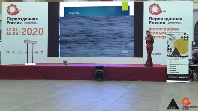 Лекция Ольги Филатовой "Киты и дельфины российских морей" смотреть онлайн