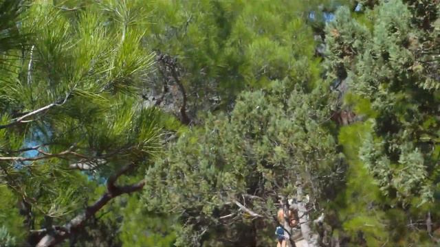 Space of Joy InЖир 19 смотреть онлайн