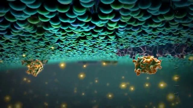 Питание клетки: Митохондрия смотреть онлайн