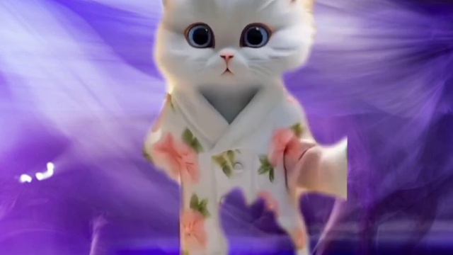 BEST CAT DANCE... Especially For CAT Lovers ...#cats #funnycats #catsdance #viralcat