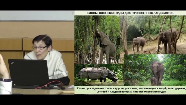 Ольга Смирнова: Концепция комплементарности в доантропогенный период и в современности смотреть онлайн