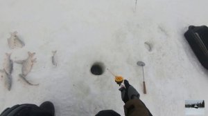 ОЗЕРО ЧАНЫ.ОТЛИЧНАЯ РЫБАЛКА И ОТДЫХ!!! Часть 1