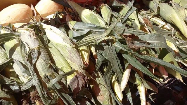 5 июля 2021 г.Цены на Кукуруз 🌽🌽🌽 Фуд - Сити 🌽🌽🌽👍👍😍😋😋